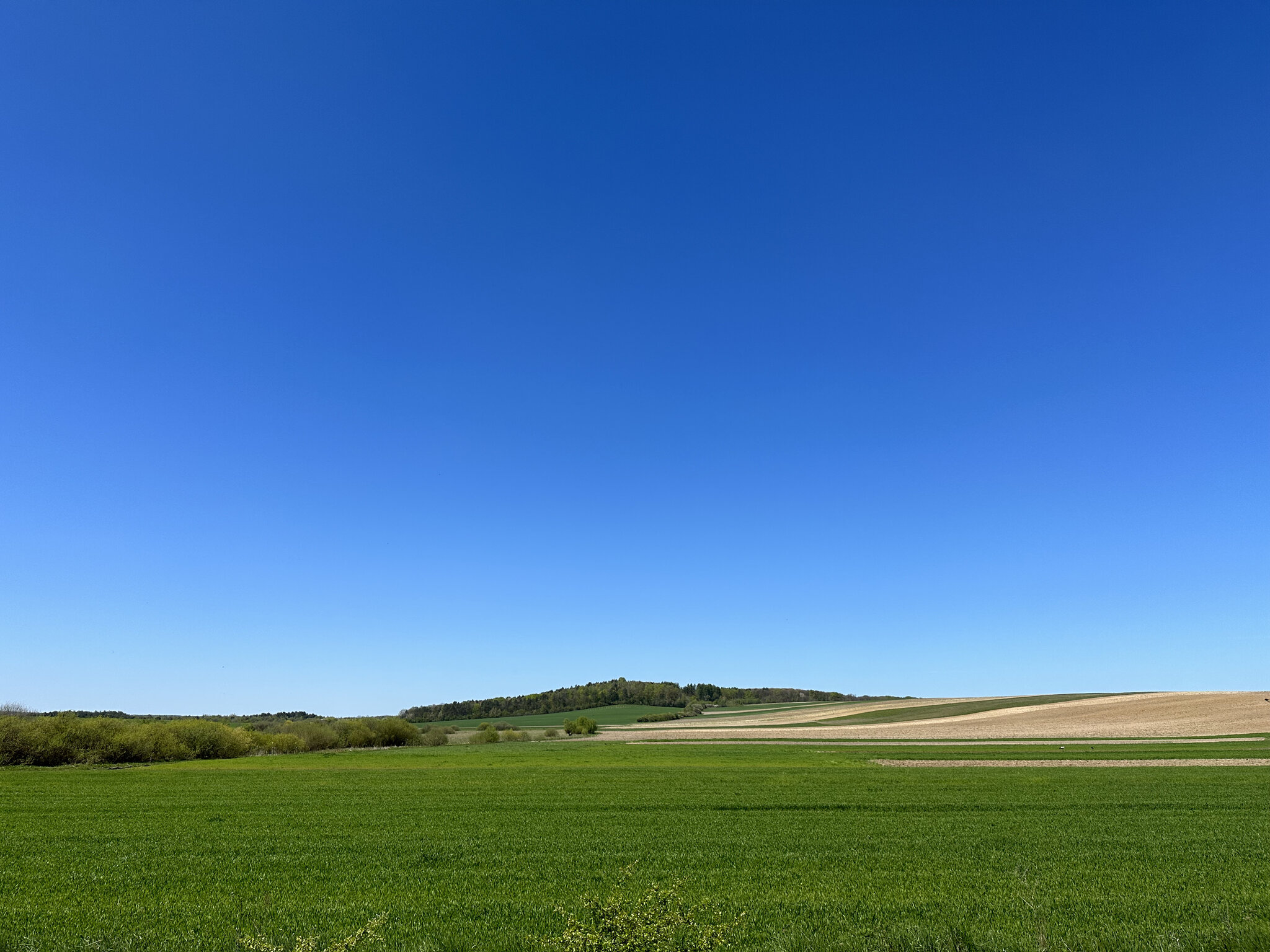 Grass,Horizon Nature,Outdoors Sky,Field Land,Grassland Scenery,Ground