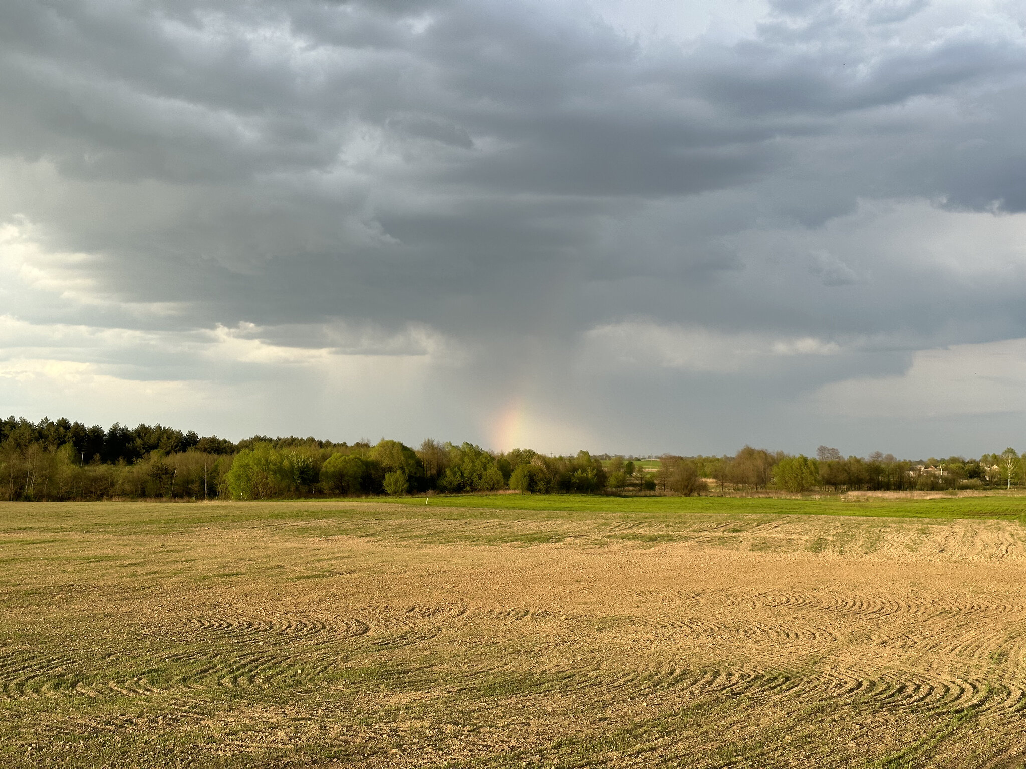 Nature,Outdoors Sky,Field Horizon,Grass Scenery,Ground Land,Grassland