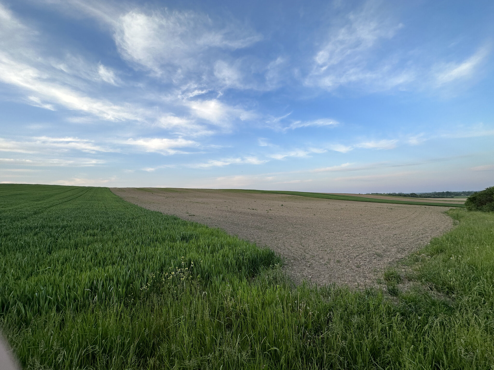 Horizon,Nature Outdoors,Sky Land,Grass Field,Scenery Grassland,Ground