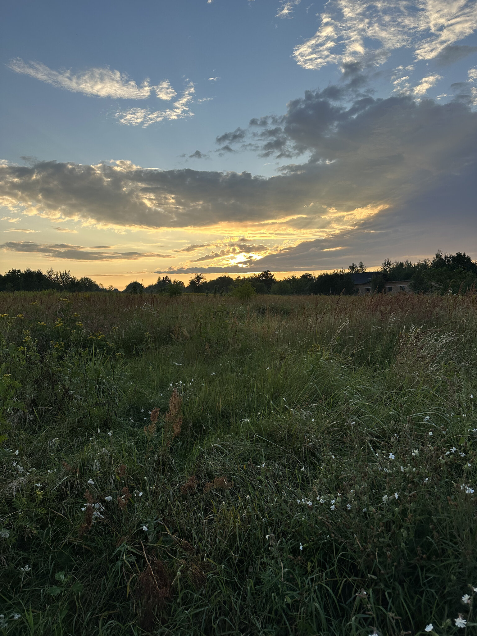 Field,Grassland Nature,Outdoors Countryside,Meadow Rural,Sky Grass,Pasture