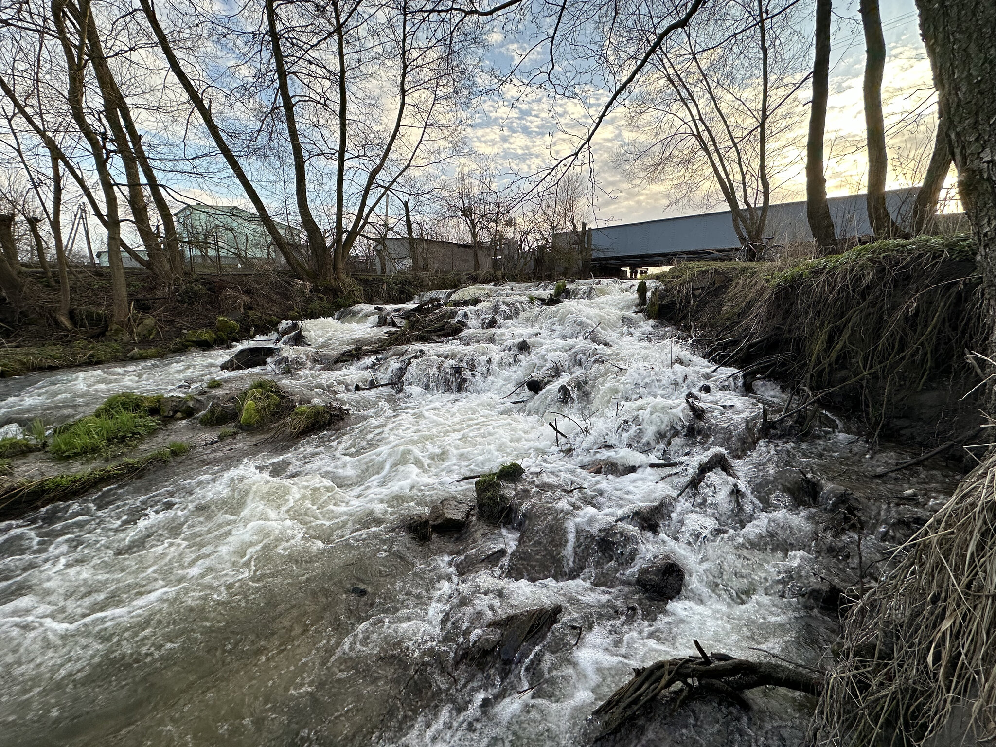 Nature,Outdoors Water,Creek Stream,Waterfall Tree,Vegetation Tree Trunk,Shelter