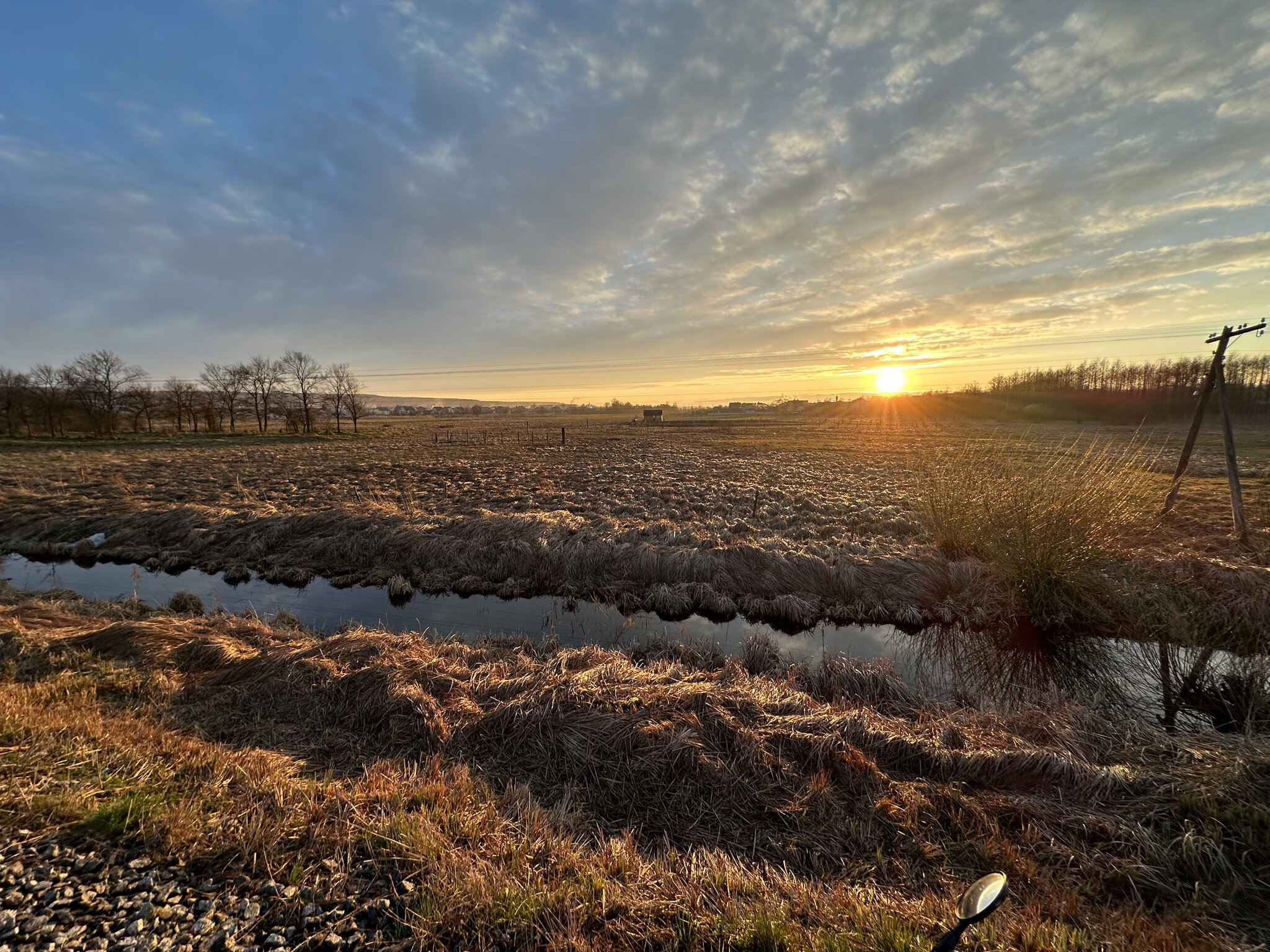 Land,Nature Outdoors,Sky Sunlight,Scenery Swamp,Water Ditch,Ground