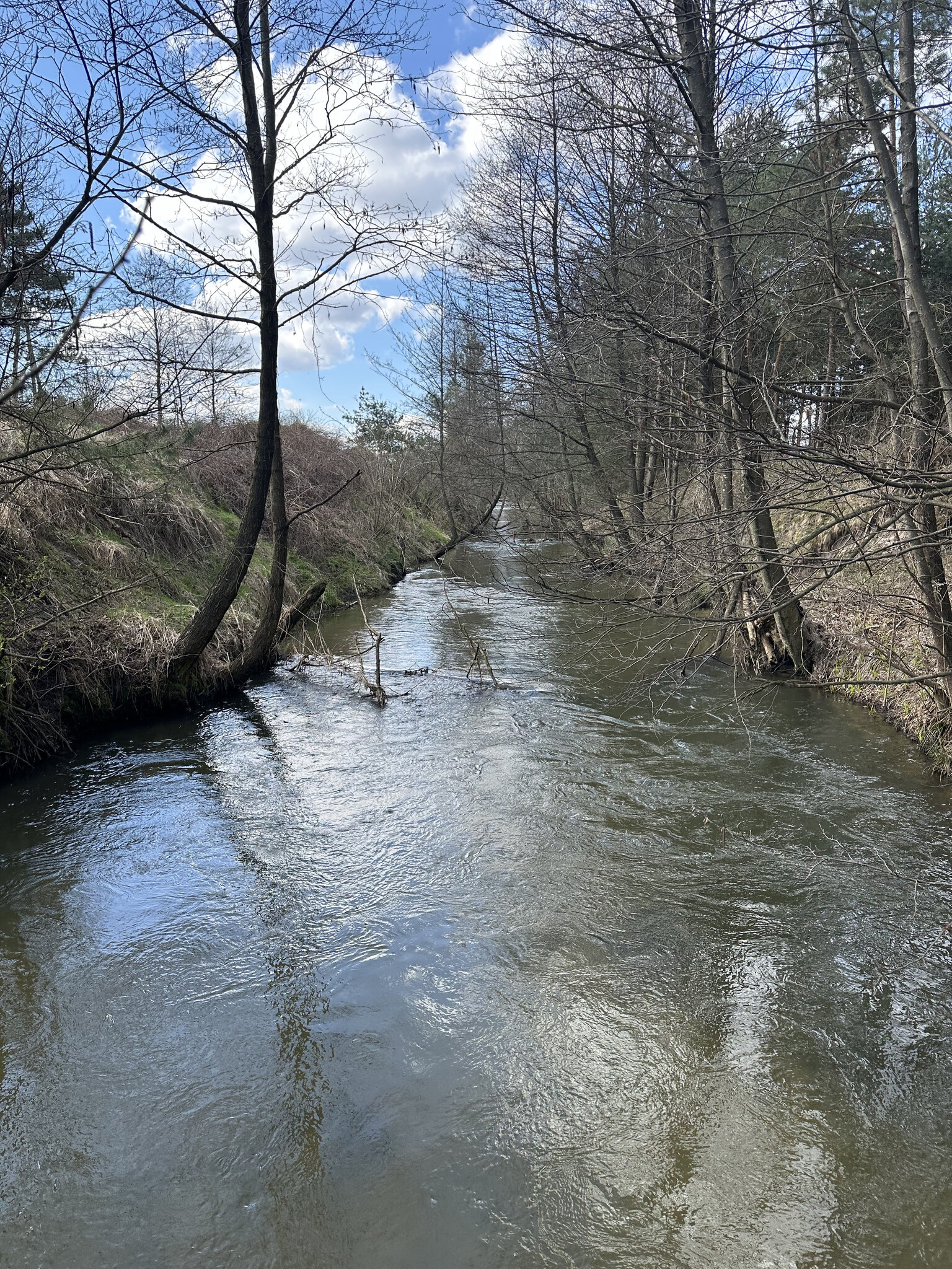 Outdoors,Creek Nature,Stream Water,Ditch Vegetation,Land Canal,Wilderness