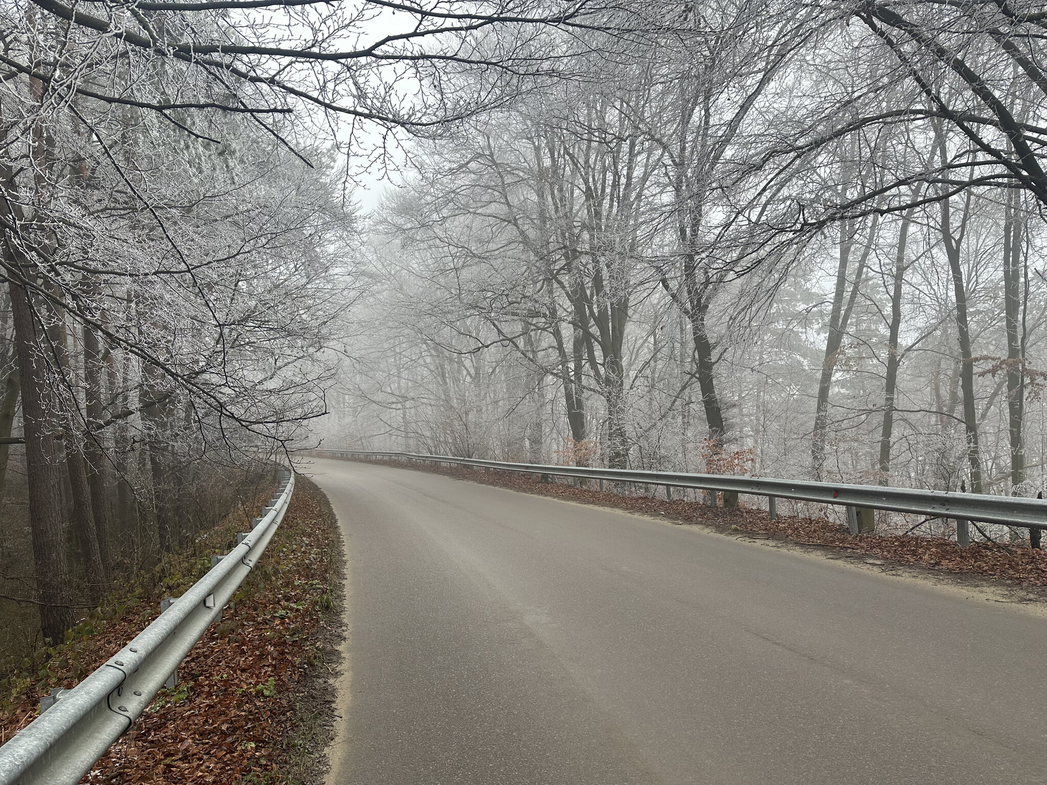 Road,Nature Outdoors,Weather Freeway,Highway Guard Rail,Vegetation Scenery,Street