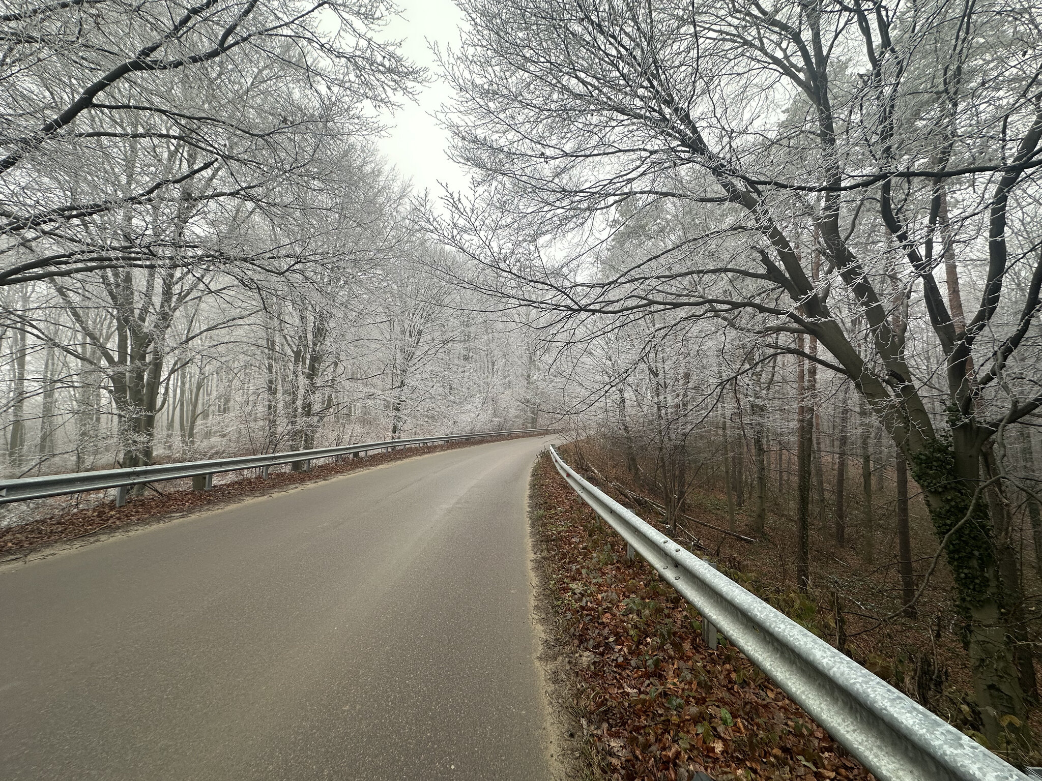 Road,Nature Outdoors,Weather Vegetation,Tarmac Freeway,Highway Scenery,Tree