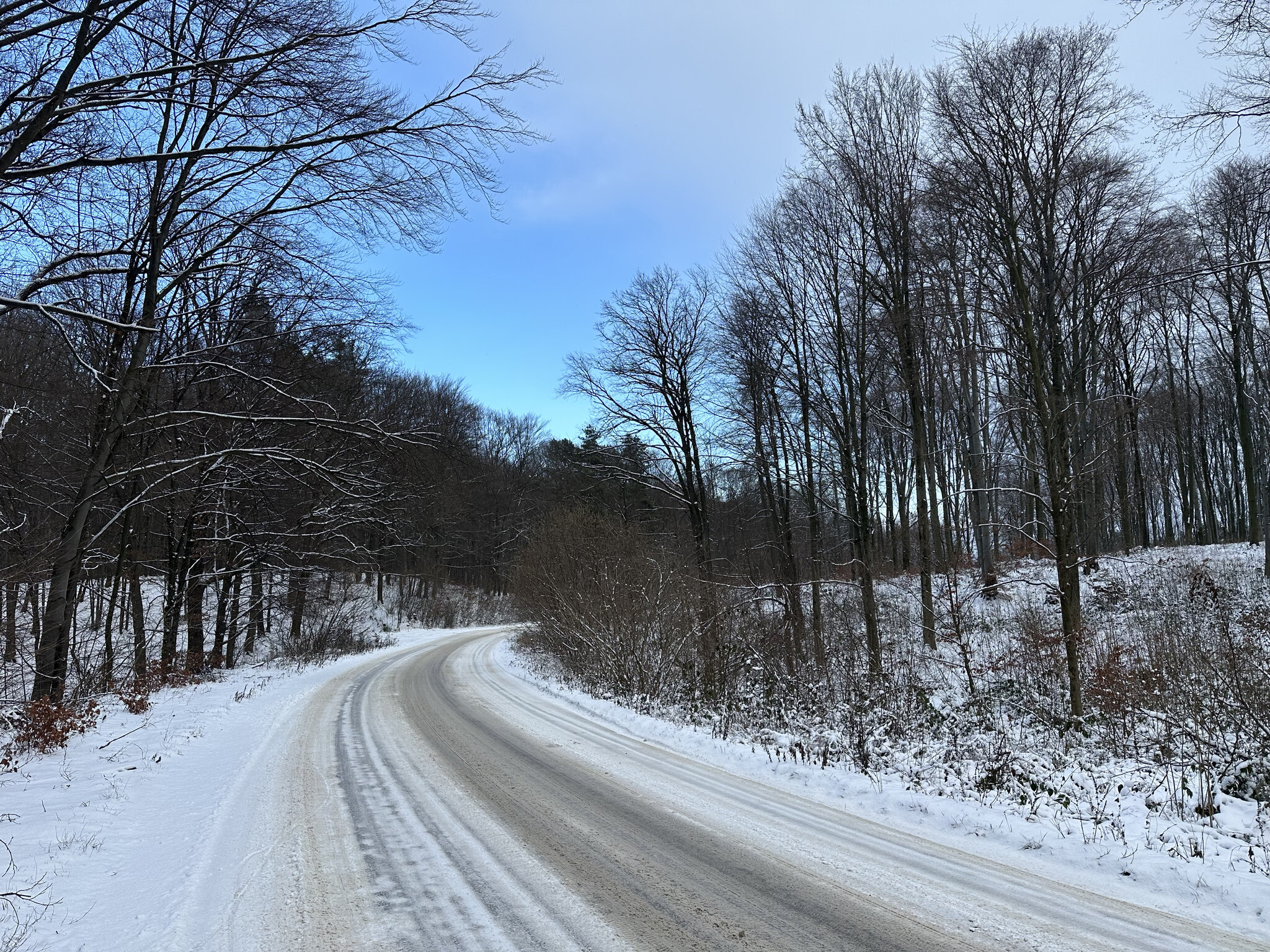 Road,Freeway Highway,Tarmac Tree,Outdoors Nature,Fir Scenery,Weather