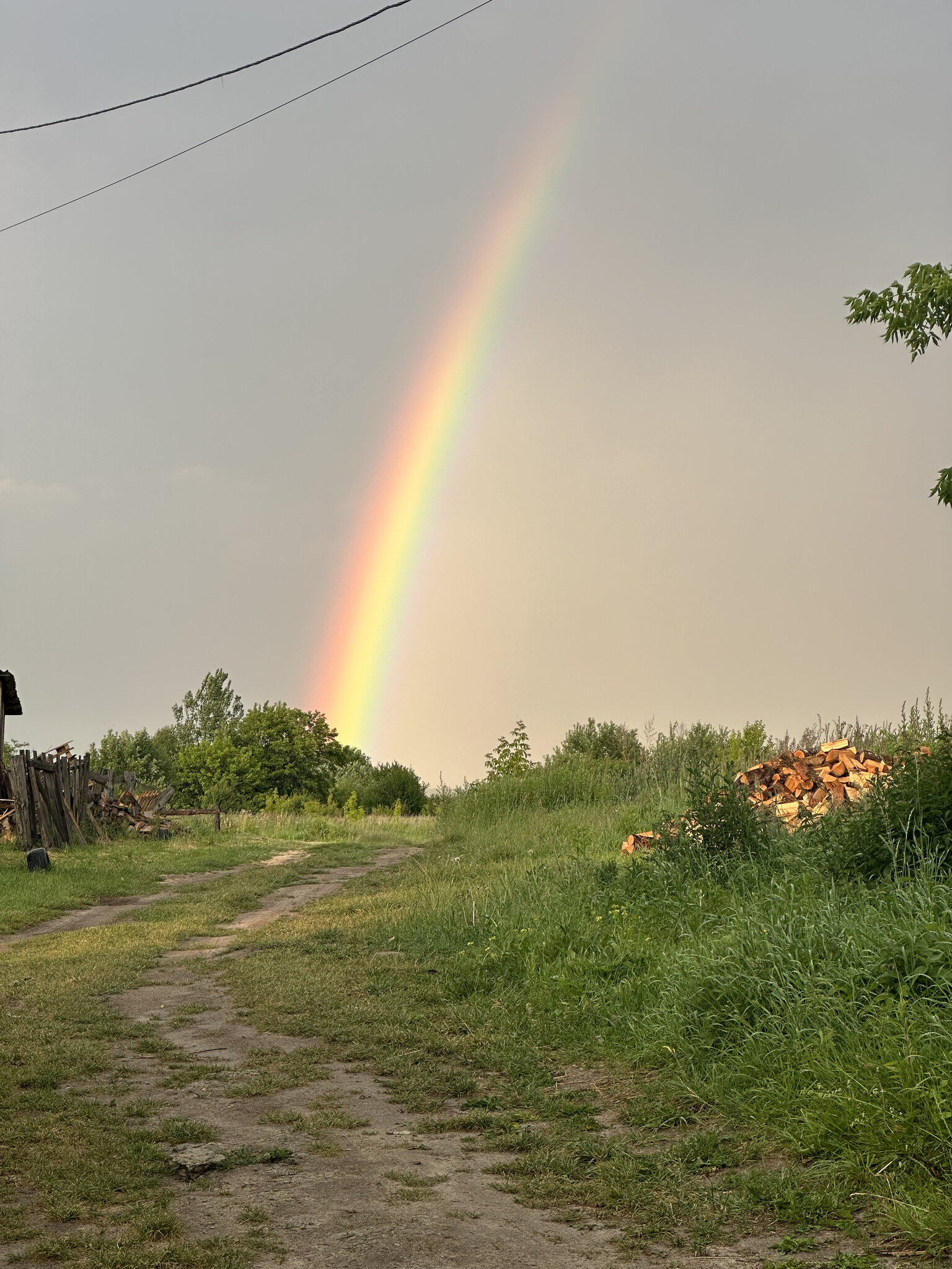 Nature,Outdoors Sky,Grass Rainbow,Path Vegetation,Grassland Tree,Scenery