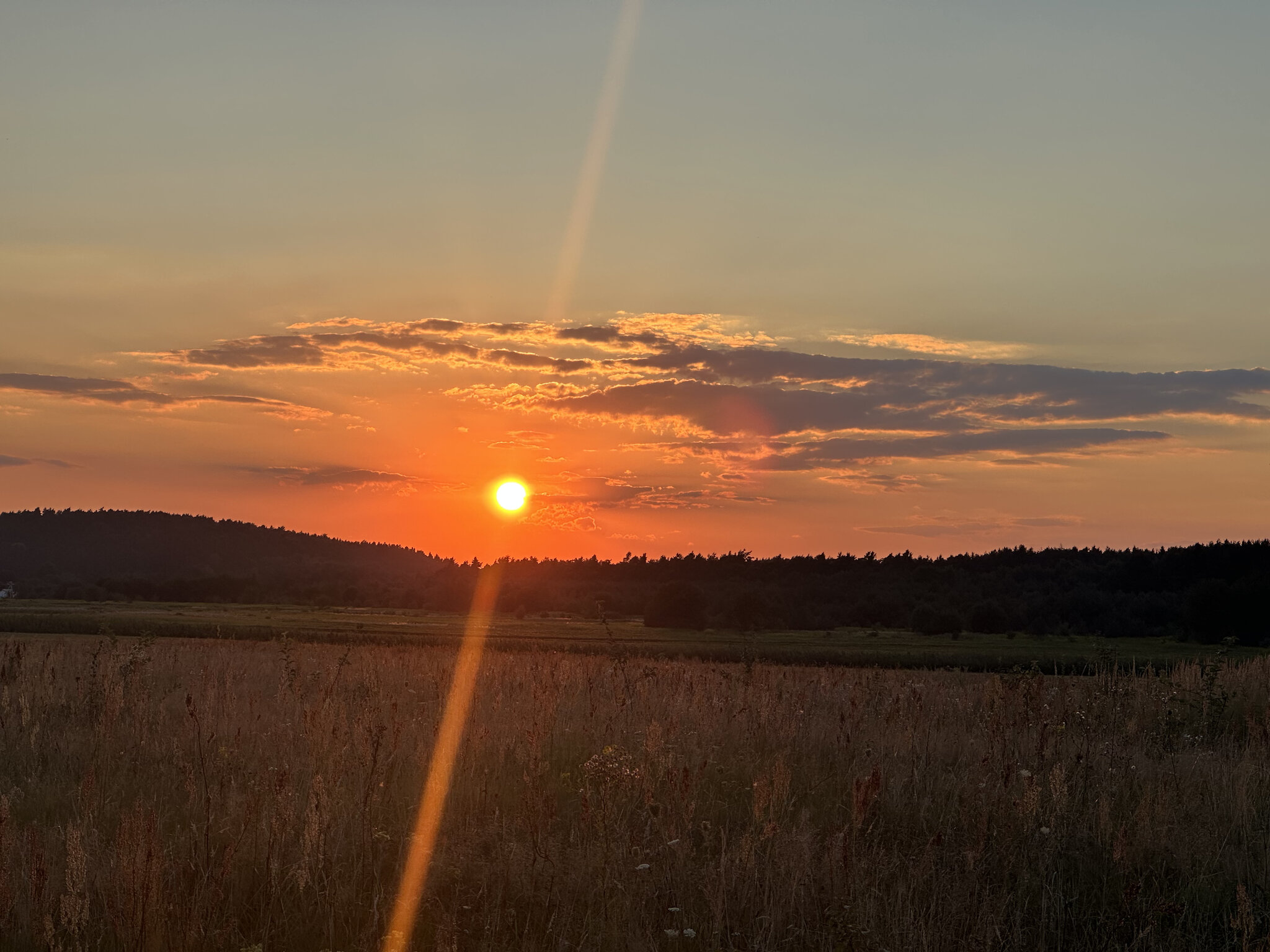 Nature,Outdoors Sky,Sunlight Sunrise,Sun Horizon,Sunset Grass,Scenery